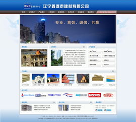 大連網站建設與設計 新圖聞科技的專業之道