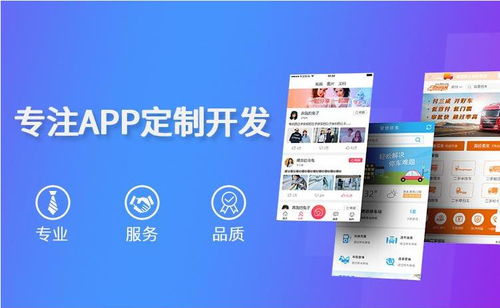 怎么才能找到成都app定制開(kāi)發(fā)公司